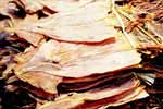 Dried Fish