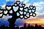 coral & Love Story picture
